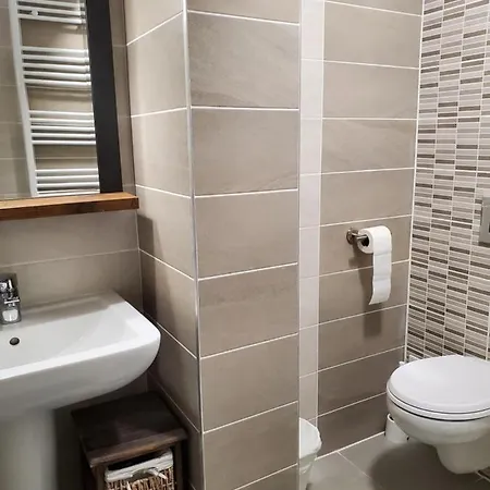Apartament Apartament Penthouse Cu Jacuzzi Langa Mall Coresi Brașov